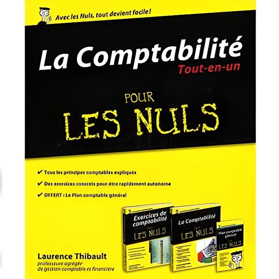 La Comptabilite Tout-en-un Pour Les Nuls - Cdiscount Librairie