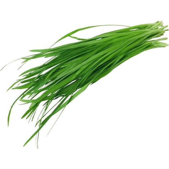 Graines à Semer - Ciboulette Commune - 0,5 G | Truffaut