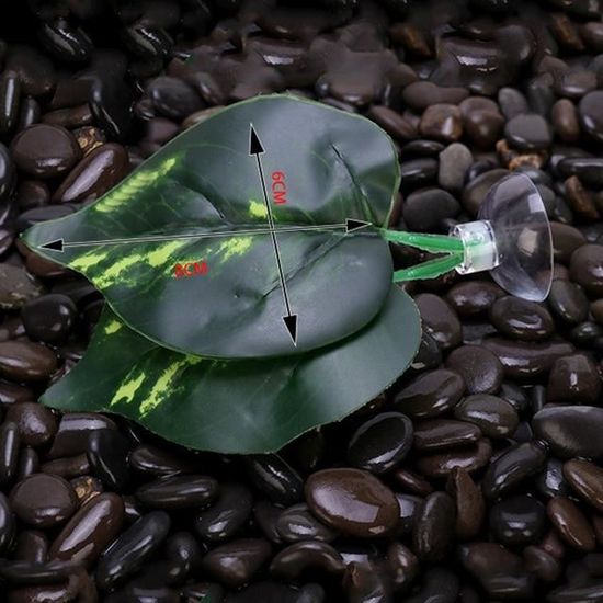 PLANTE D