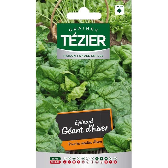 Sachet Graines - Tezier - Épinard géant d'Hiver - Sachet légume petit modèle - (Mois de semis de 8 à 10)