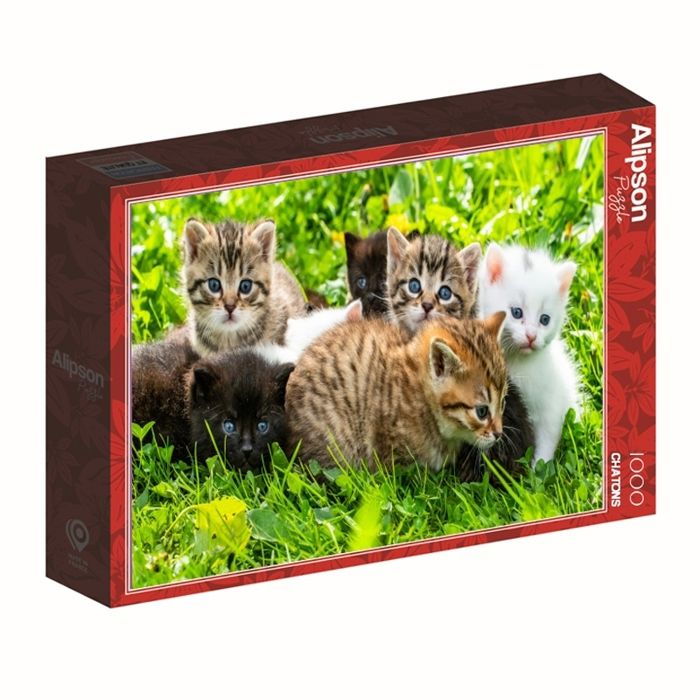 Puzzle - ALIPSON PUZZLE - Alipson Groupe de Chatons - 1000 pièces - Thème chatons - Matériau résistant