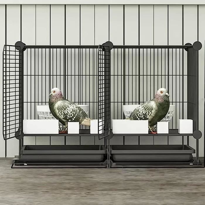 Cage De Capture Pour Oiseaux | Piège Humane Pour Pigeons, Étourneaux, Pies - Transport Inclus