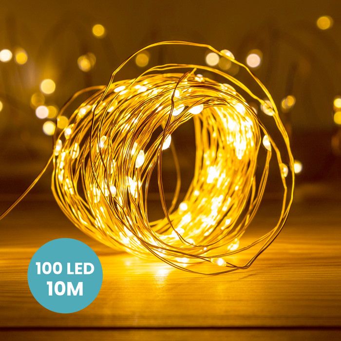 Guirlande Lumineuse à Piles 4,90 M 100 Micro LED Câble Transparent Luxe