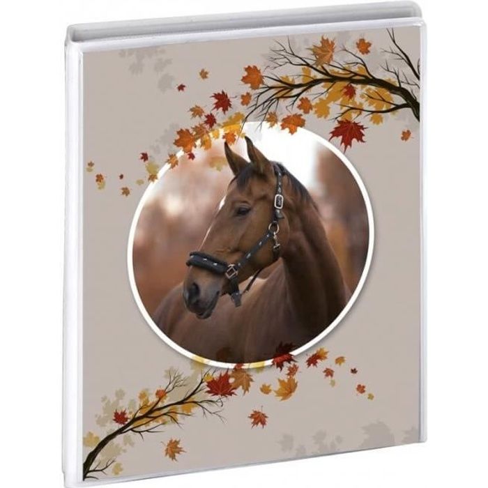 Album photo pochettes cheval 36 photos 11,5x15 cm - Ceanothe, marque  française - Cdiscount Beaux-Arts et Loisirs créatifs