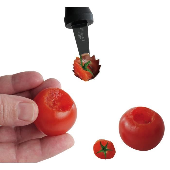 equeuteur a tomates cdiscount maison