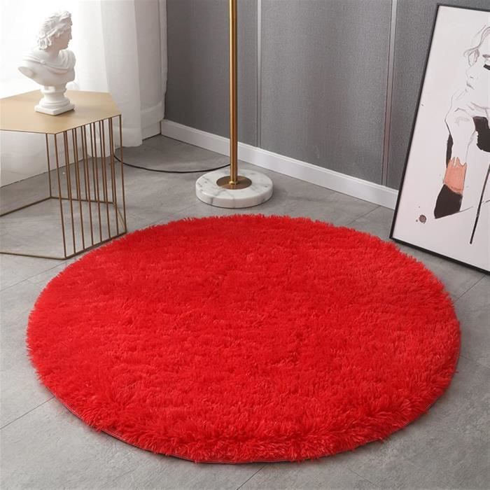 Tapis Salon Shaggy Poil Long Lavable, Treer Chaud Carré