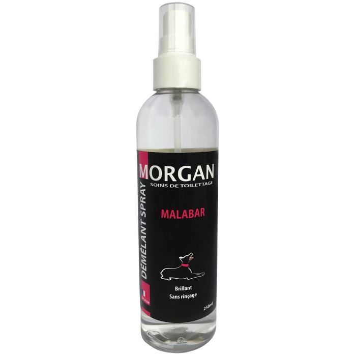 Comparer les prix de Spray démêlant senteur Malabar Morgan - MORGAN
