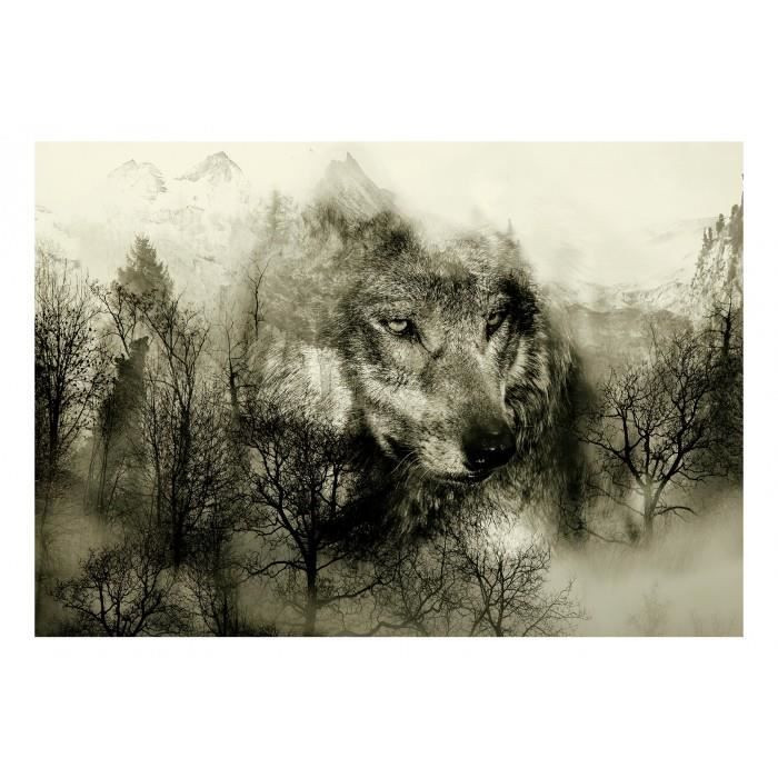 Gratuit Images De 200x140 Superbe Papier Peint Animaux Loups Montagnes Foret actualisé salutations
