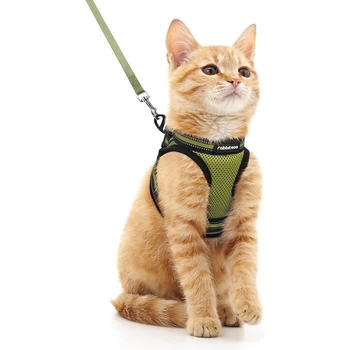 Comparer les prix de Rabbitgoo Harnais Chat Harnais pour chaton/petit chien Harnais Respirant et Bande Réfléchissante réglables -Taille M -Vert