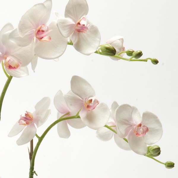 Orchidée Phalaenopsis artificielle PABLA en motte, blanche-rose, 70 cm -  fleur artificielle - orchidée décorative - artplants - Cdiscount Maison