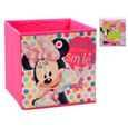 Boite Stockage 31x31x31 Encheres Minnie Achat Vente Boite De