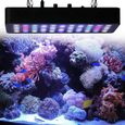 Rampe LED Aquarium Spectrum Complet 165W - OUTAD - Gradateurs pour récif corail et poisson-0