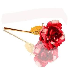 Sachets Pochettes Cadeaux Maison Filles Anniversaire Femme Anniversaire Belles Roses Taille Moyenne Sac Cadeau