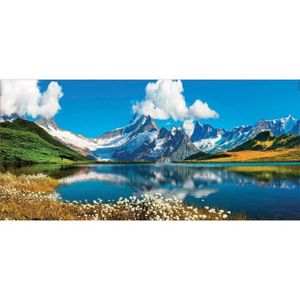 PUZZLE Puzzle Panorama Adulte 3000 Pieces Lac Bachalpsee 