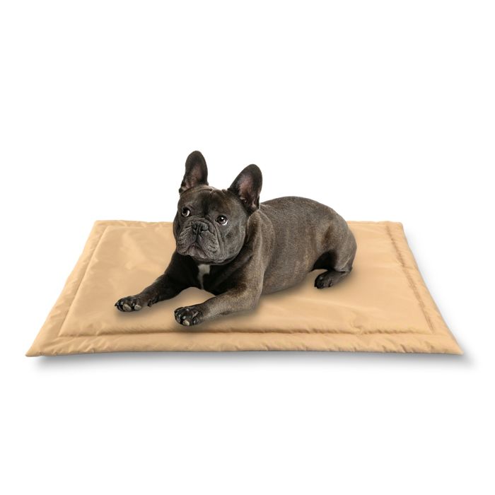 Comparer les prix de Lit pour Chien Panier Coussin Tapis Matelas S 70x50 cm Beige PET ZEN Étanche Dehoussable Lavable Mousse Résistante