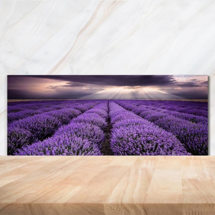 Crédence De Cuisine En Verre Trempé 125x50 Cm - Motif Forêt - Résistante Aux Taches Et à L'eau - 5