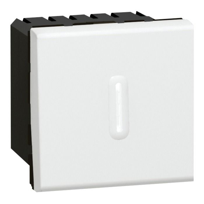 LEGRAND Kit appareillage à encastrer interrupteur temporisé 2 modules