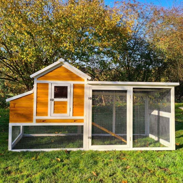 Animal Valley Poulailler Toit Renforcé Toit Plastique 6 à 8 Poules L2,36 x l1,1 x H1,24m 