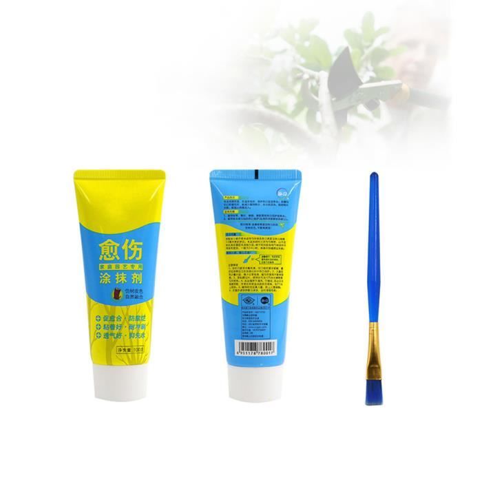 Pâte de guérison pour plantes, scellant les plaies d'arbre, agent de guérison des plaies d'arbre, scellant d'élagage des plaies des plantes avec brosse à récupération rapide, type B, 2 pièce
