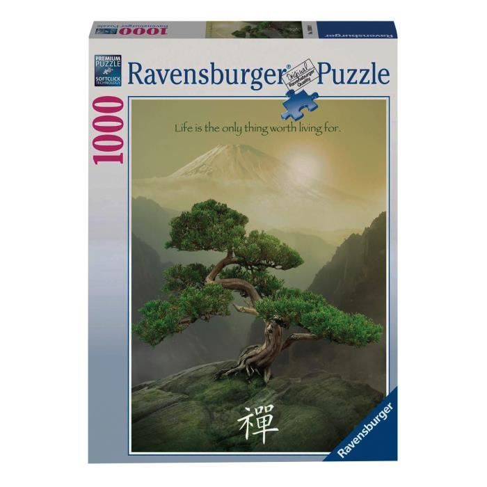 Ravensburger 19389 9 - Puzzle - Zen Attitude - 1000 Pièces KS7XB -  Cdiscount Jeux - Jouets
