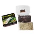 Nourriture pour Reptile Iguane Mix Graines à Germer  REPTILES-PLANET-1