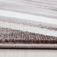 Tapis de salon moderne à design Tapis à poils ras, couleurs tendance, tapis moelleux, Marron Tapis 200 x 290 cm-1