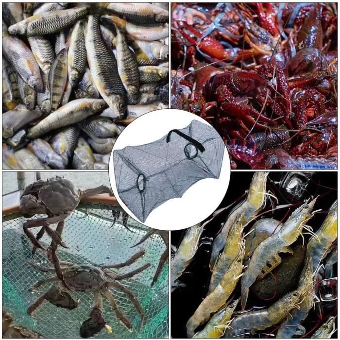 Enfunt-Home Piège à Appâts Pliable Nasse Ecrevisses Largeur du Port Réseau 2/3 M Filet De Pêche Appâts Piège à Poissons (2x1x2m Enfunt-Home Piège à Appâts Pliable Nasse Ecrevisses Largeur du Port Réseau 2/3 M Filet De Pêche Appâts Piège à Poissons (2x1x2m