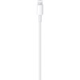 Cable APPLE USB-C To Lightning cable 2 M-2