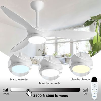Wildcat Ventilateurs De Plafond Avec Lampe, Ventilateur Silencieux T%c3%a9l%c3%a9commande Plafonnier