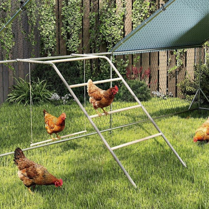 Perche De Poulailler, Avec Échelle De Perchoir À Poules Miroir Perchoir A Poussin En Bois Poulet Bois Support Poulet Jouet Pour Oiseaux Poule