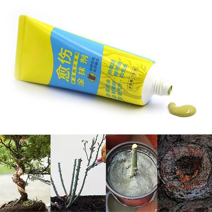 Pâte à Greffer Et Cicatriser Les Arbres – Avec Brosse, Protège Les Coupes D’élagage Et Greffes