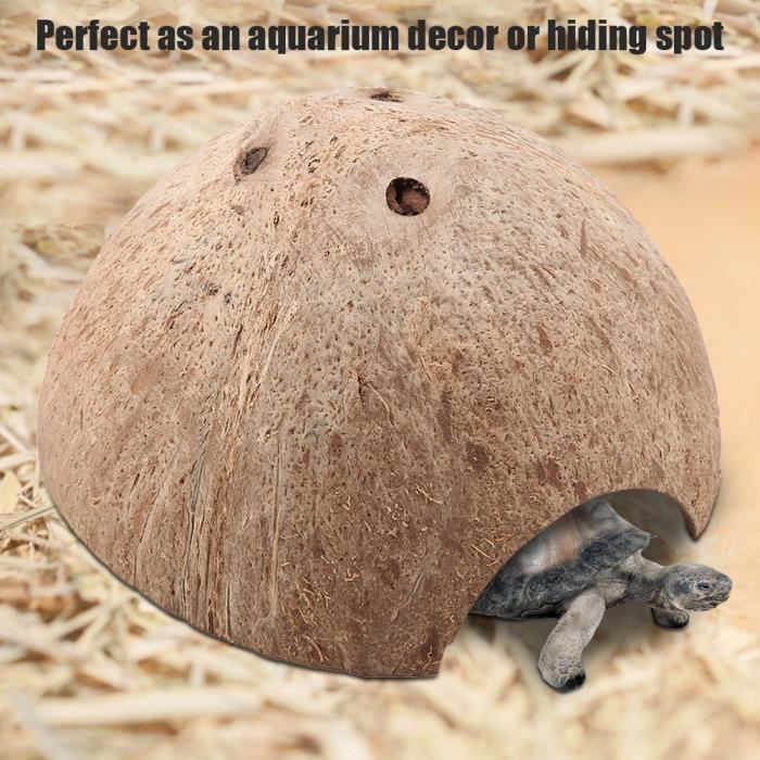 2 Cachettes Reptile En Forme De Coquille De Noix - Abri Pour Tortue, Gecko, Lézard | Décor Terrarium 12x12x7 Cm - 3