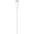 Cable APPLE USB-C To Lightning cable 2 M-3