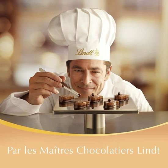 Chocolat assortiment Champs Elysées LINDT : la boite de 237g à