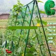 0.9x1.8 m (2.9x5.9 pieds) - Filet en treillis robuste pour plantes grimpantes, pour le jardin, pour la vigne,-0