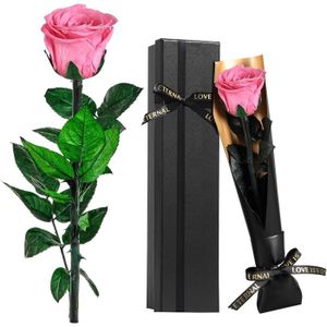 VERDISSIMO Rose éternelle stabilisée Premium Tige 55cm Diamètre 6,5 à 8