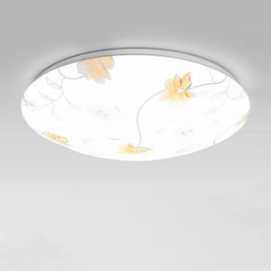 PLAFONNIER Moderne Plafonnier Acrylique Lampes De Cuisine 24W Led Environ Chambre Lampe De Plafond Couloir Lampe De Salle De Bain Lumiè[u9295]