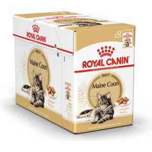CROQUETTES Royal Canin - Sachets Maine Coon en Mousse pour Chat - 12x85g