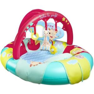 Arche d'eveil bébé voiture - Arceau bébé transat - Arche articulée bébé  universelle - Arche d'activité bébé - Arche mobile béb[921] - Cdiscount  Jardin