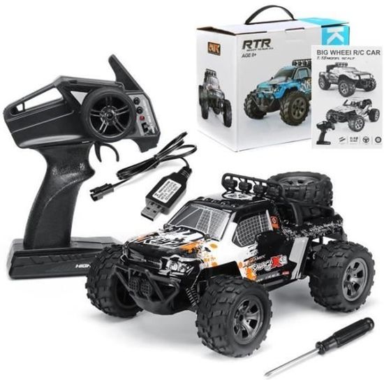 Voiture RC 1/16 4WD 20km/h - Camion Monstre Tout Terrain étanche Avec 2 Batteries - 2.4GHz Pour Adultes Et Enfants