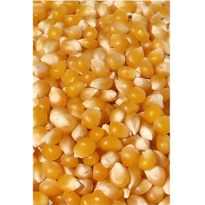 Maïs pour Pop Corn prêt à éclater seau 3 kg