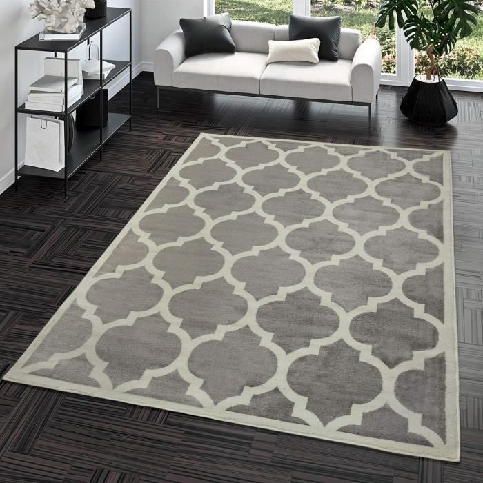 TT Home Tapis Poils Ras Moderne Design Marocain Salon Intérieur Tendance Gris, Dimension:160x220 cm