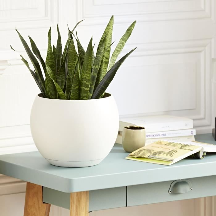 POETIC Coupe Lune Ø 24 cm avec soucoupe clipsée - Blanc cassé