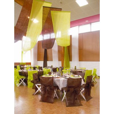 Tenture de salle 12m x 80cm tissu intissé Vert
