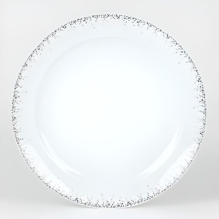 Assiette de présentation Boréalis gris