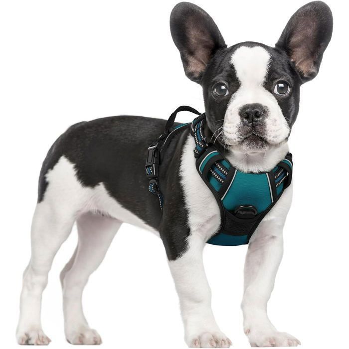 Meilleurs prix pour Harnais Chien Anti Traction Vert Foncé XS Harnais Chien avec Poignée Facile à Mettre Gilet Réglable Réfléchissant pour Petit Chien