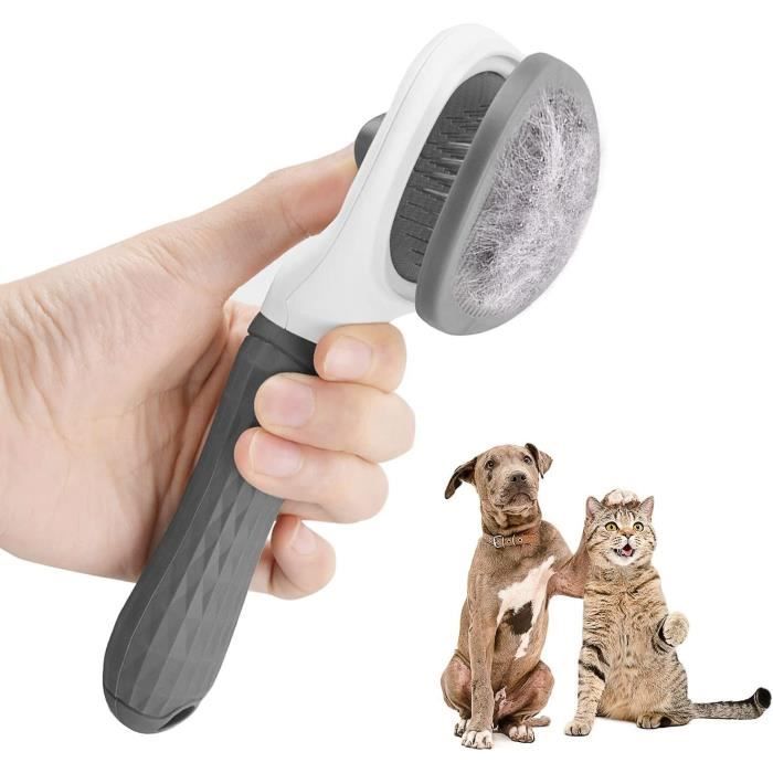 Peigne pour chat, brosse de toilettage pour chien, brosse pour animaux de compagnie, 2 pièces brosse