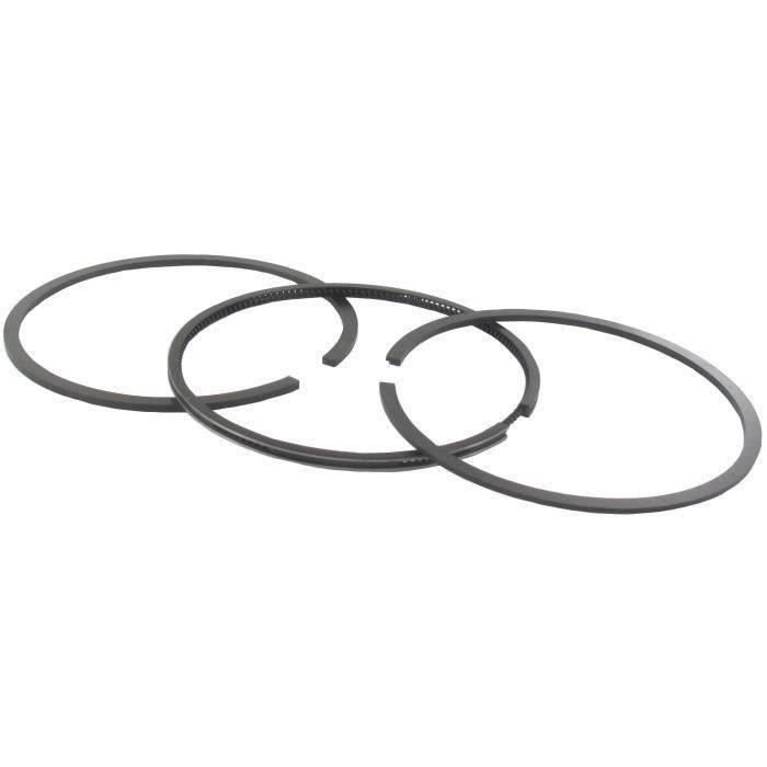 Jeu de segments BRIGGS ET STRATTON 499425