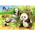 Puzzle Animaux - Ravensburger - Koalas et pandas - 2x24 pièces - Mixte-2