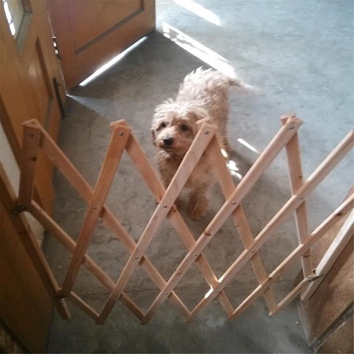 Clôture de sécurité pour chien extensible Barrière pour animaux de